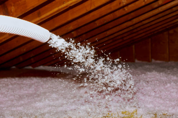 Best Geographic-Specific Insulation Services in Jamestown, NY